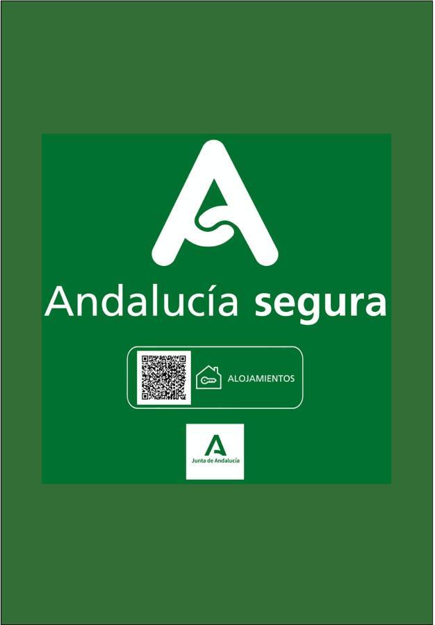 Holidays2Malaga Calle Nueva High Speed Wifi Exterior photo